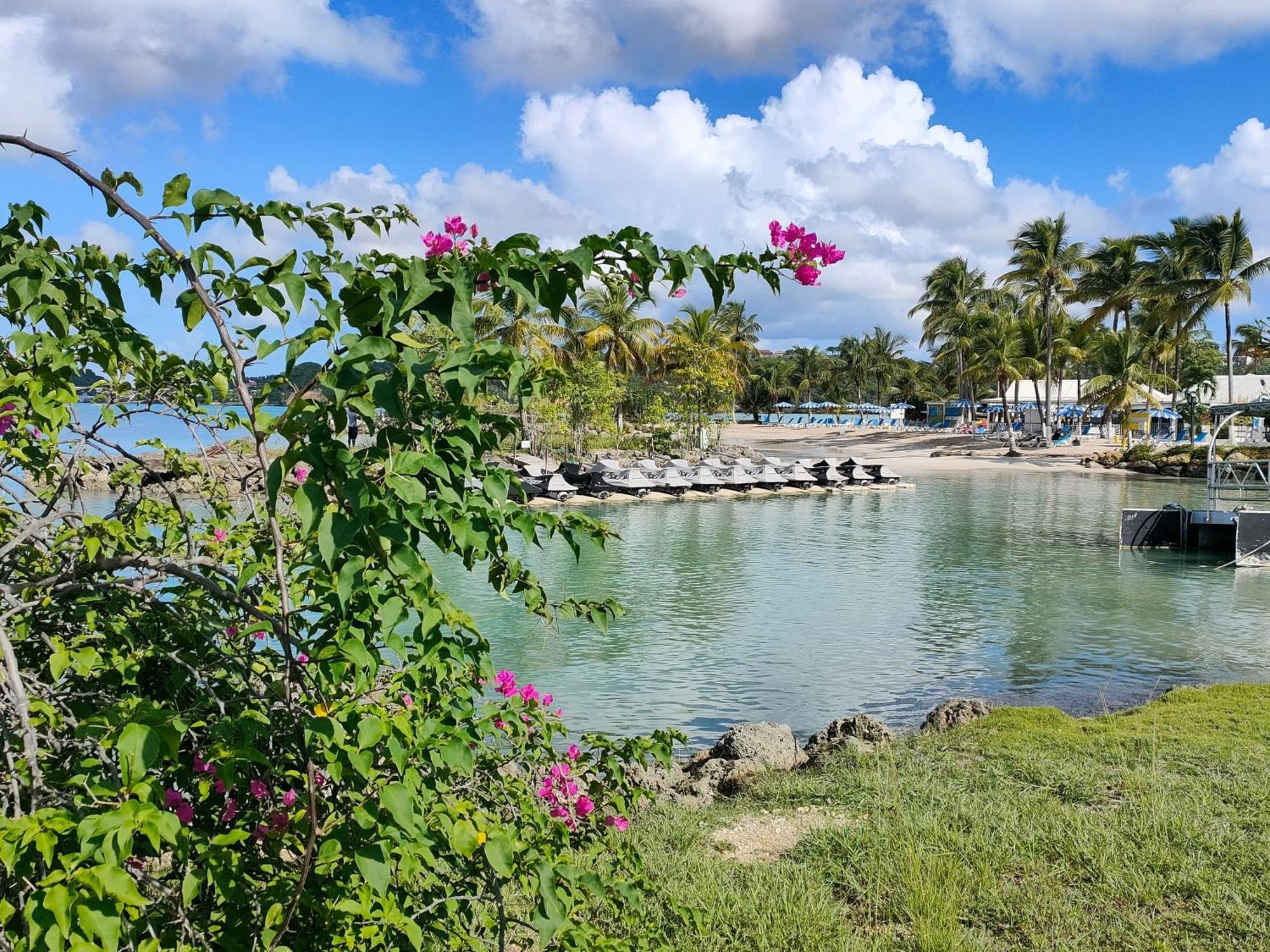 Studio Vue Mer, Pieds Dans L'Eau Le Gosier  Exterior photo