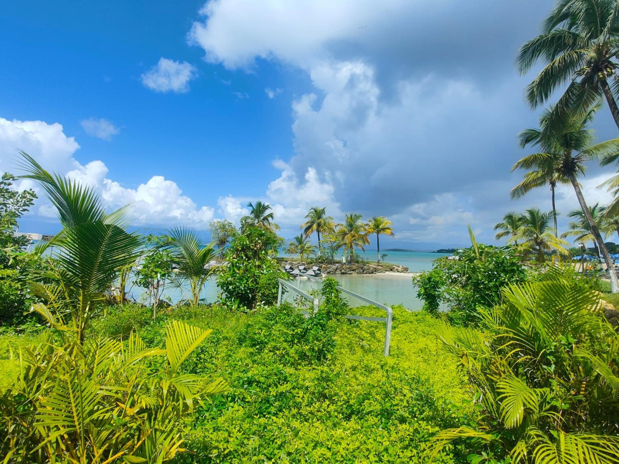 Studio Vue Mer, Pieds Dans L'Eau Le Gosier  Exterior photo